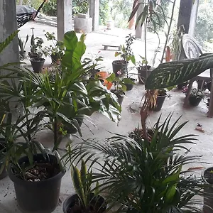 https://kandy-fortress.kandyhotelsnow.com